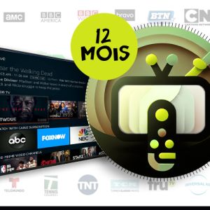 Subscription 12 months