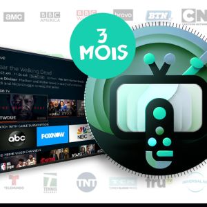 Subscription 3 months